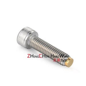 Alloy Steel Brass Tip Set Screws - China SBPP, Cbpp Socket Head Cap Screws  with Soft Point