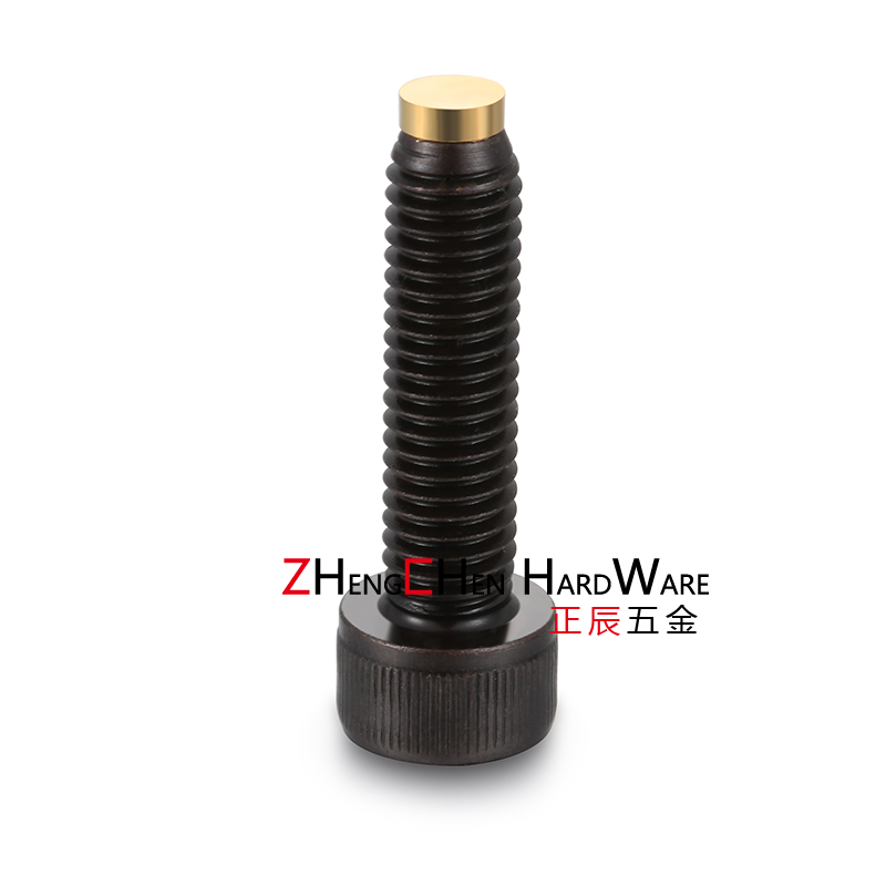 Socket Head Cap Screws with Soft Point CBPP CBCP CBCPS