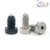 Spring Plungers with ball end and hex socket headed Steel or Stainless Steel BPCT