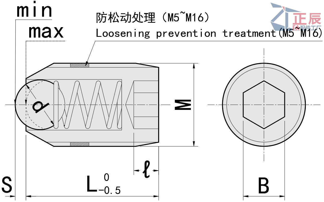 Spring Plunger With Hexagon Socket BPJF