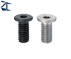 Hex Socket Set Screws