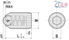 Ball Plungers Fine Thread BMPJ BMSJ