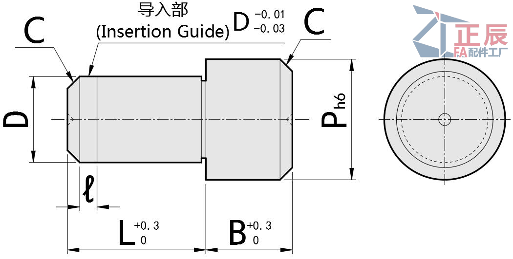 Large Head Locating Pin Round Head Flat Tip Straight PDA