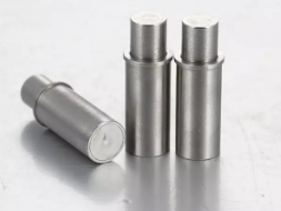 stainless steel spring plunger