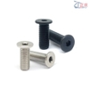 Ultra Low Head Hexagon Socket Head Cap Screws CBSS CBSTS