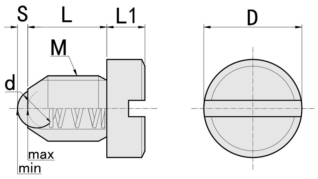 Spring Plungers with ball and slot headed ZBPS/ZBPH