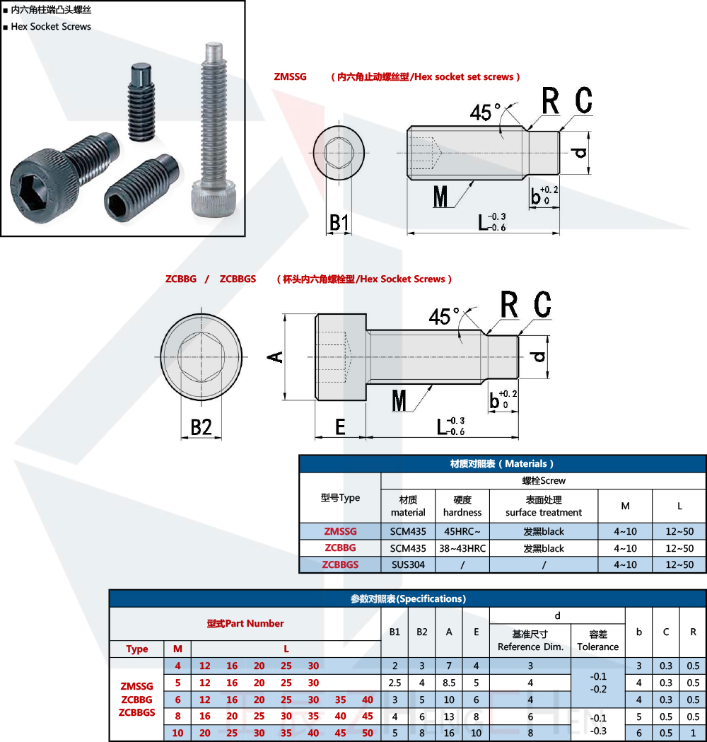 Hex Socket Set Screw