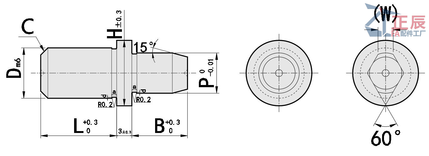 Shoulder precision Locating Pin Round Diamond Head Tapered Tip Straight JPJB