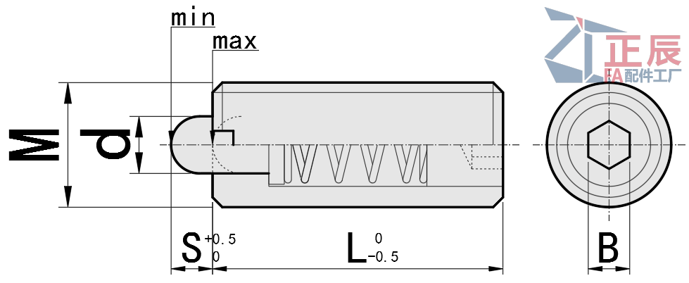 long nose Short Stroke Spring Plunger with internal hexagon