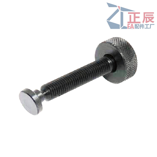 Grub Screws ball-headed thrust point ZT61