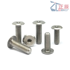 Ultra Low Profile Torx Socket Cap Screw CBSTSE M2 M6