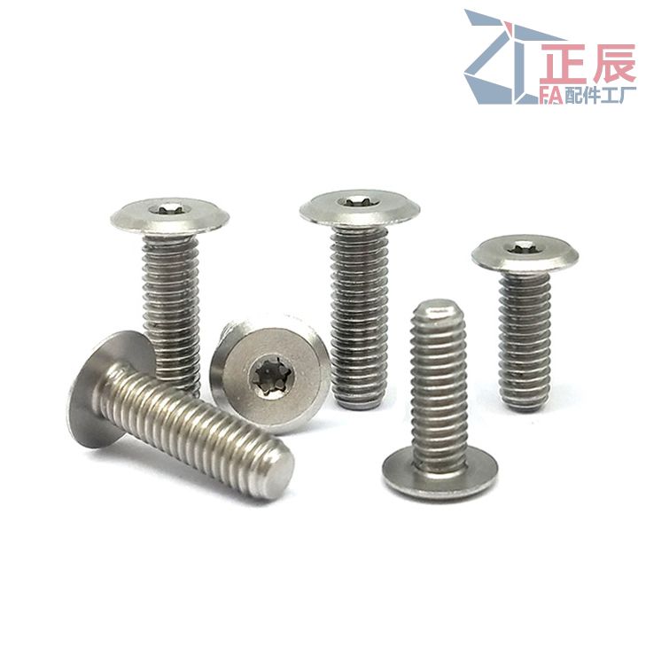 Ultra Low Profile Torx Socket Cap Screw CBSTSE M2 M6