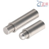 Stainless steel flange Spring Plungers Micro Short MPFS