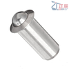 Stainless steel and carbon steel Press Fit Ball Nose Spring Plungers