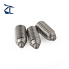 Spring Plungers Short Stainless Steel SPJK SPJZ