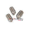 Stainless steel Ball Plungers Roller BPRM
