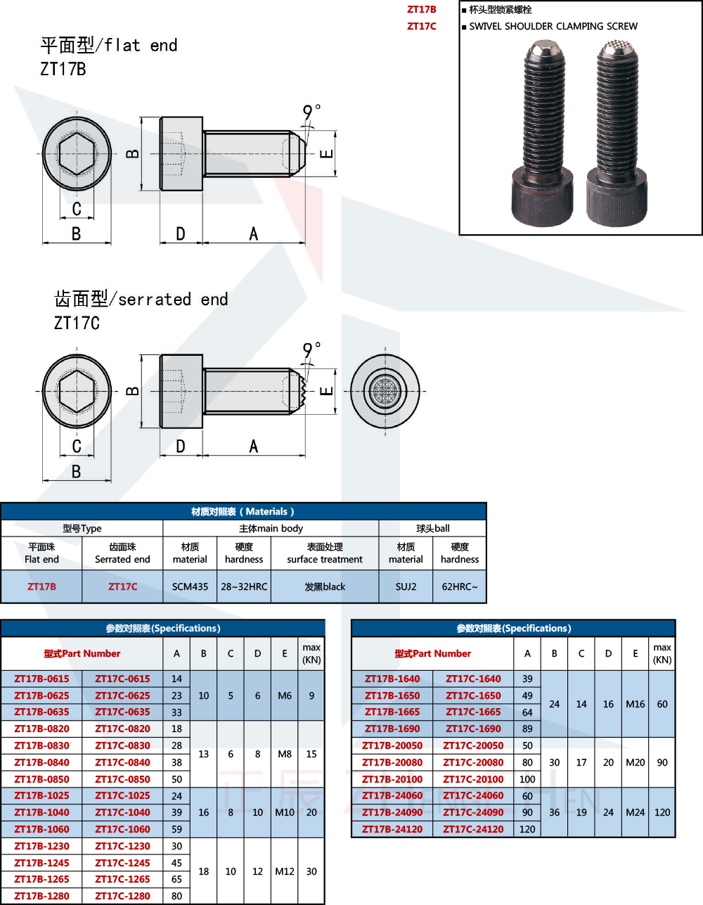 Swivel Screw