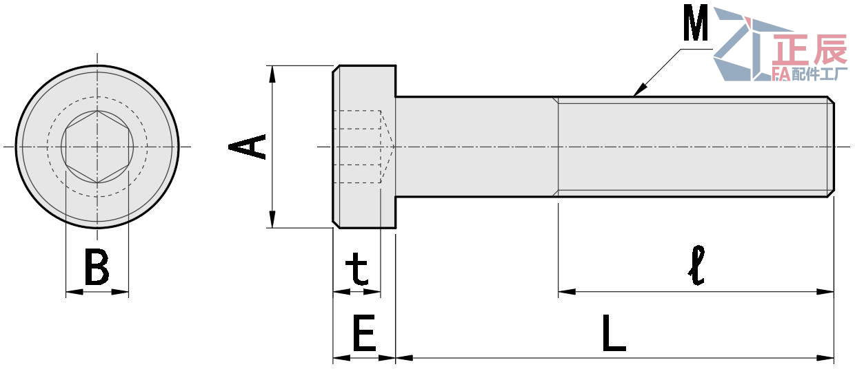 Low Profile Hex Socket Cap Screw M2 M12 CBS CBSST