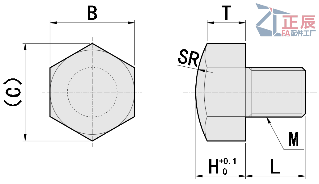 Stop Pins Spherical Type H Standard BSTEH SBTEH